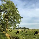 With Garden Near Greetsiel *
