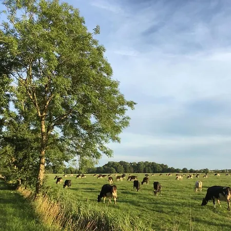 With Garden Near Greetsiel *