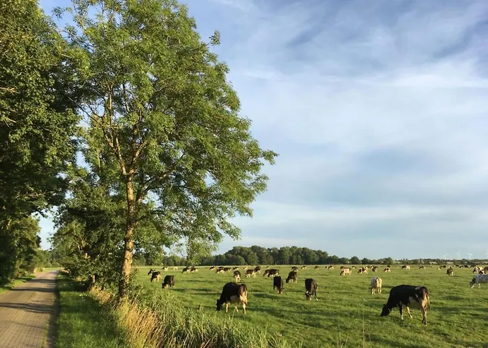 With Garden Near Greetsiel *